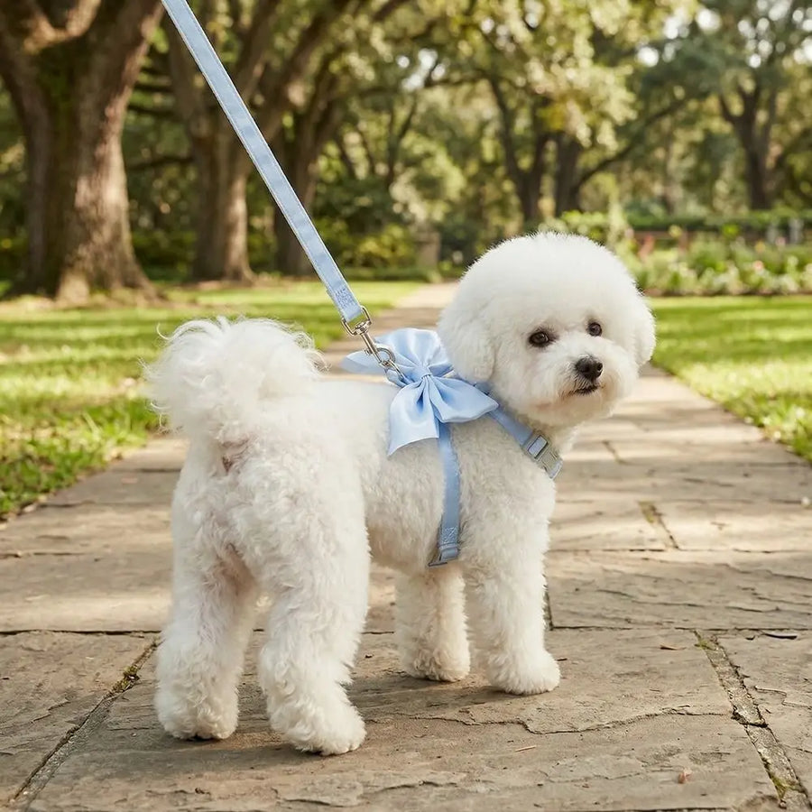 Adjustable cat harness and leash set, image 2
