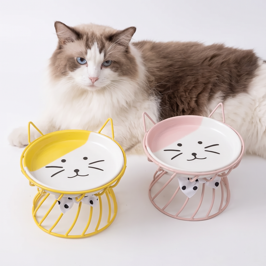 Ceramic Raised Cat Bowl with Stand