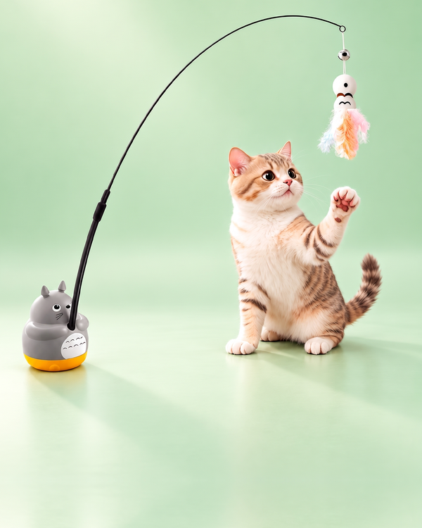 Cat Toys