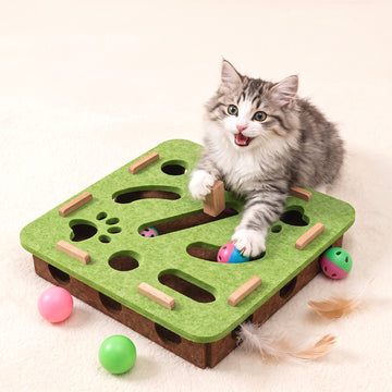 Flat-Pack Cat Scratcher Playhouse Toy