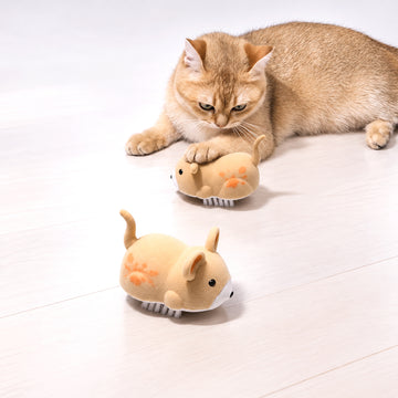 Interactive Electric Mouse Cat Toy