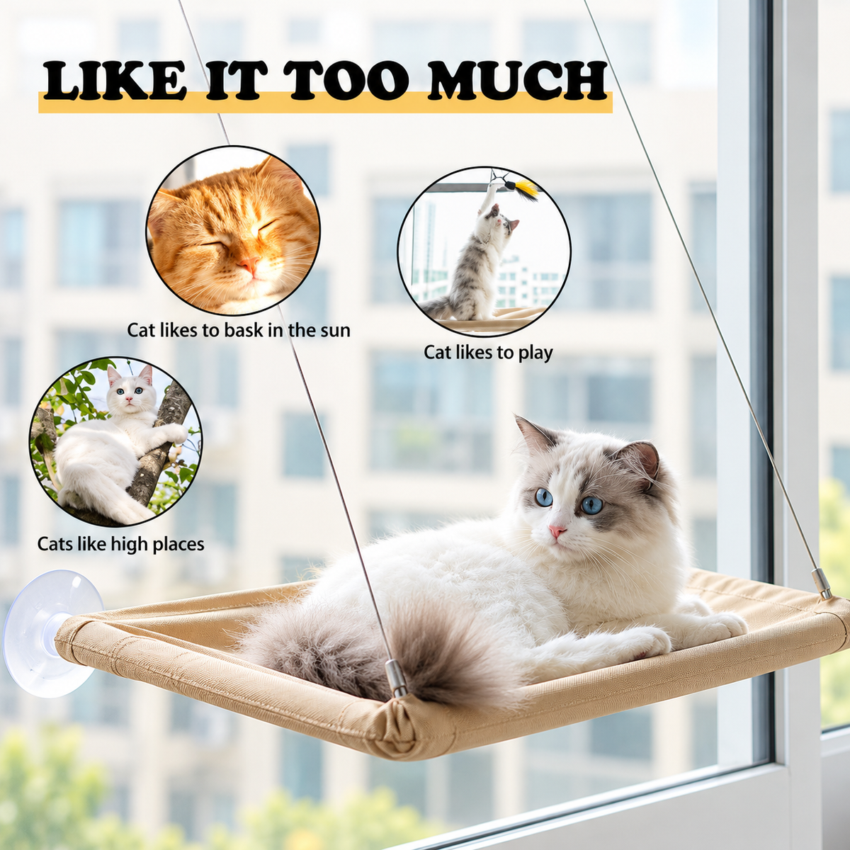 Wall Mounted Cat Hammock with Climbing Frame