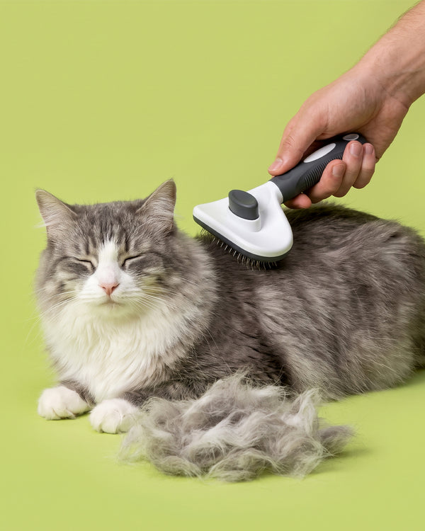Grooming