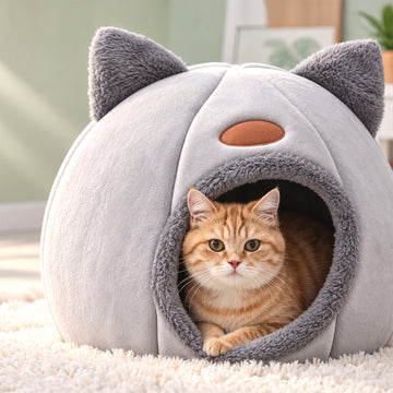 Semi-Enclosed Cozy Cat Bed, M or XL