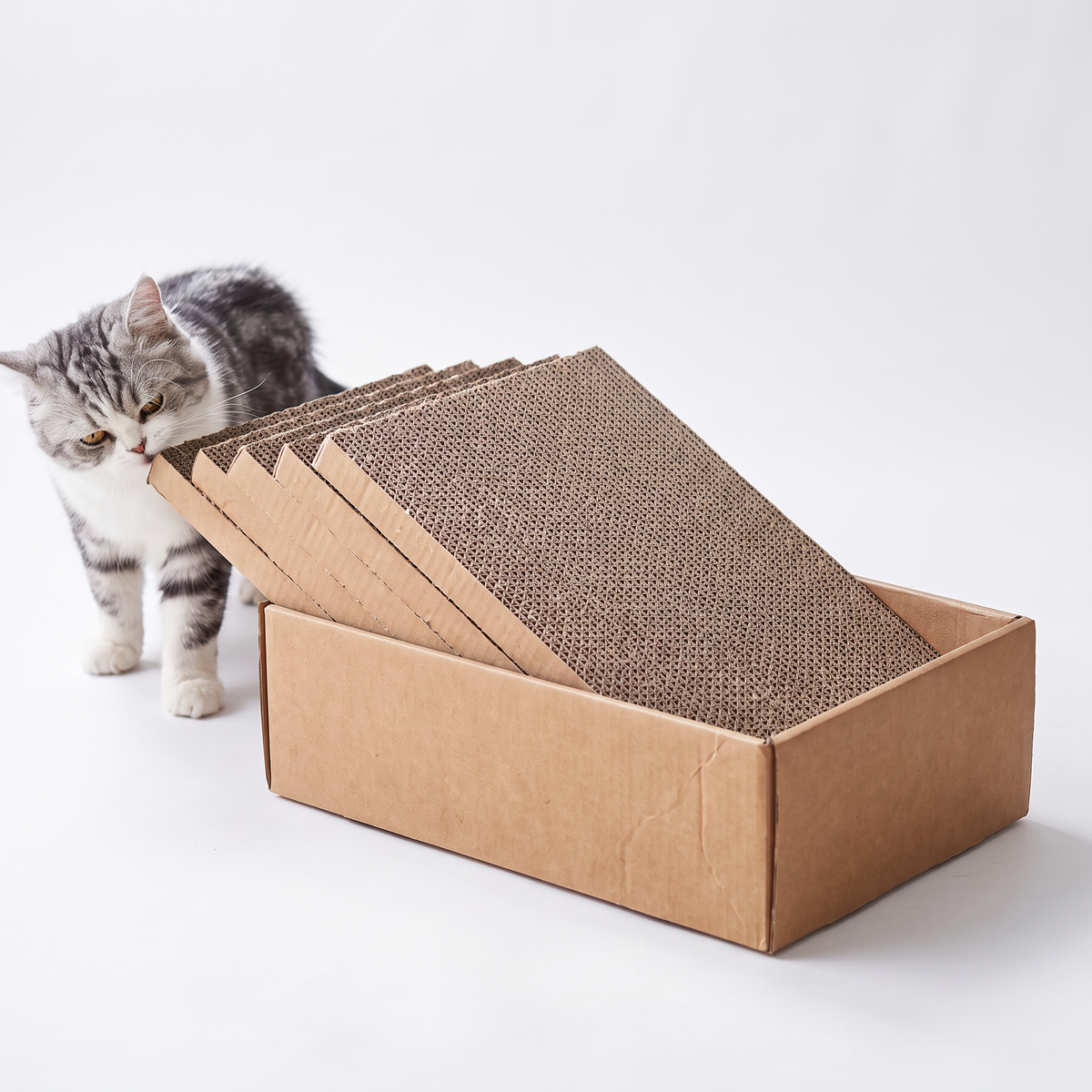 4-Pack Cardboard Cat Scratcher Box
