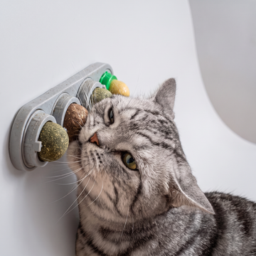4-in-1 Rotating Catnip Wall Ball, 4 Flavors