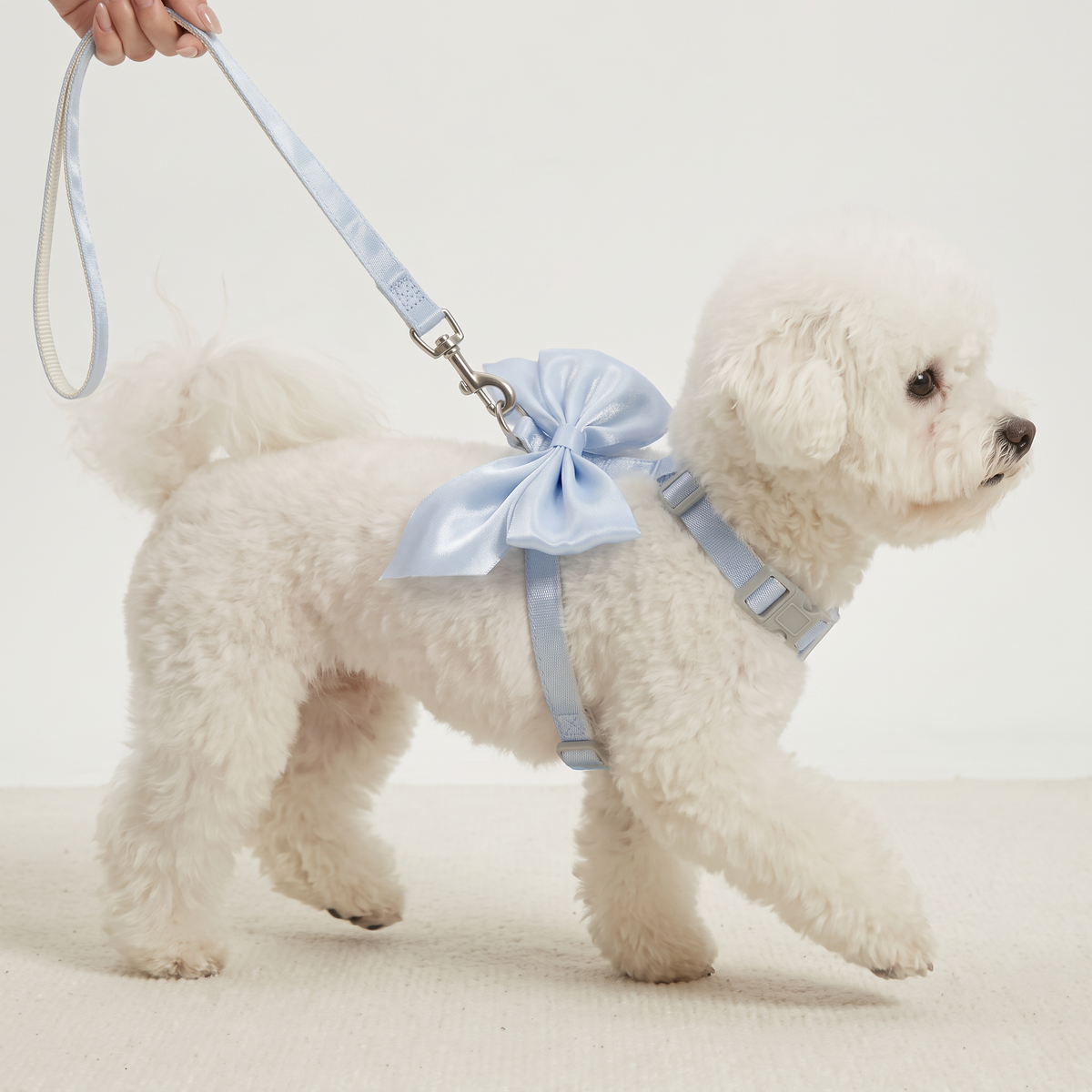 Adjustable Cat Harness and Leash Set