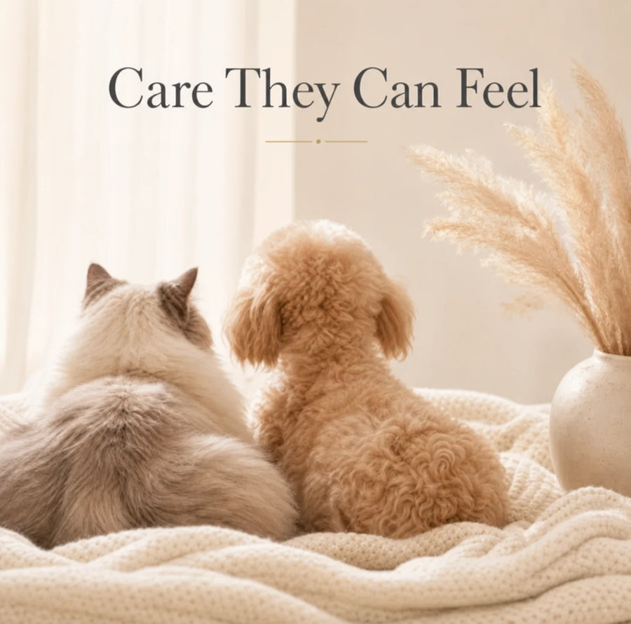 Self-Cleaning Cat Massage Slicker Brush