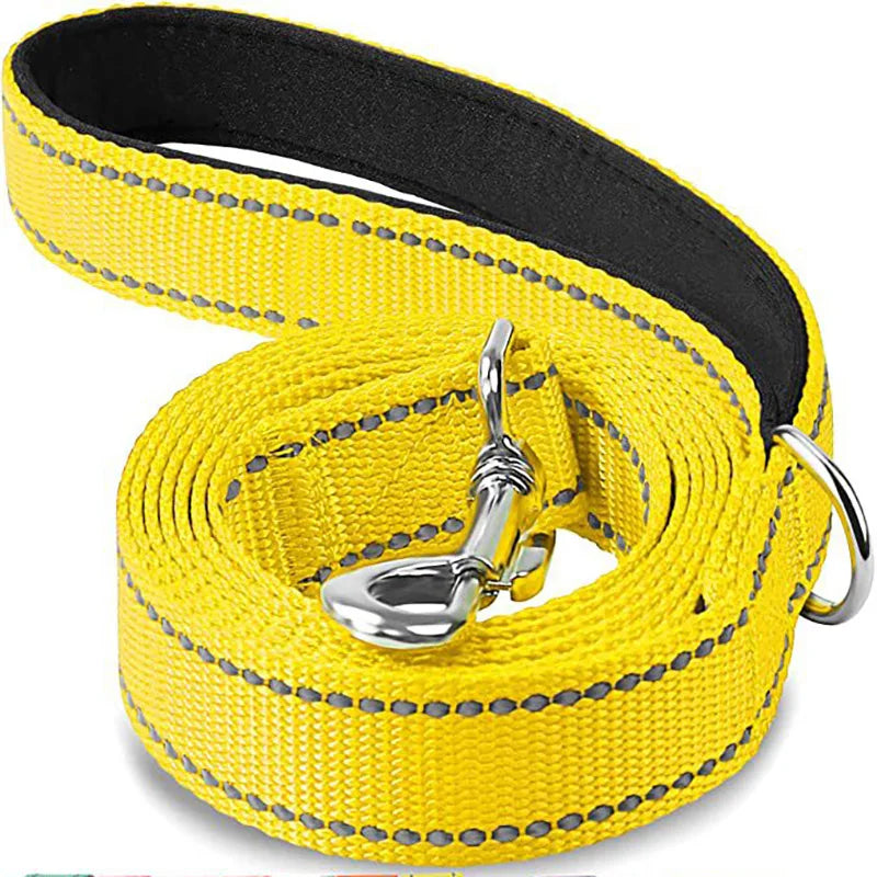 baby-blue-reflective-cat-leash
