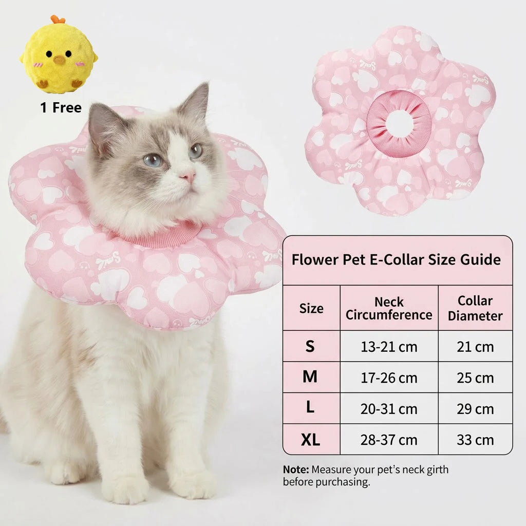 cat-eating-while-wearing-soft-cone