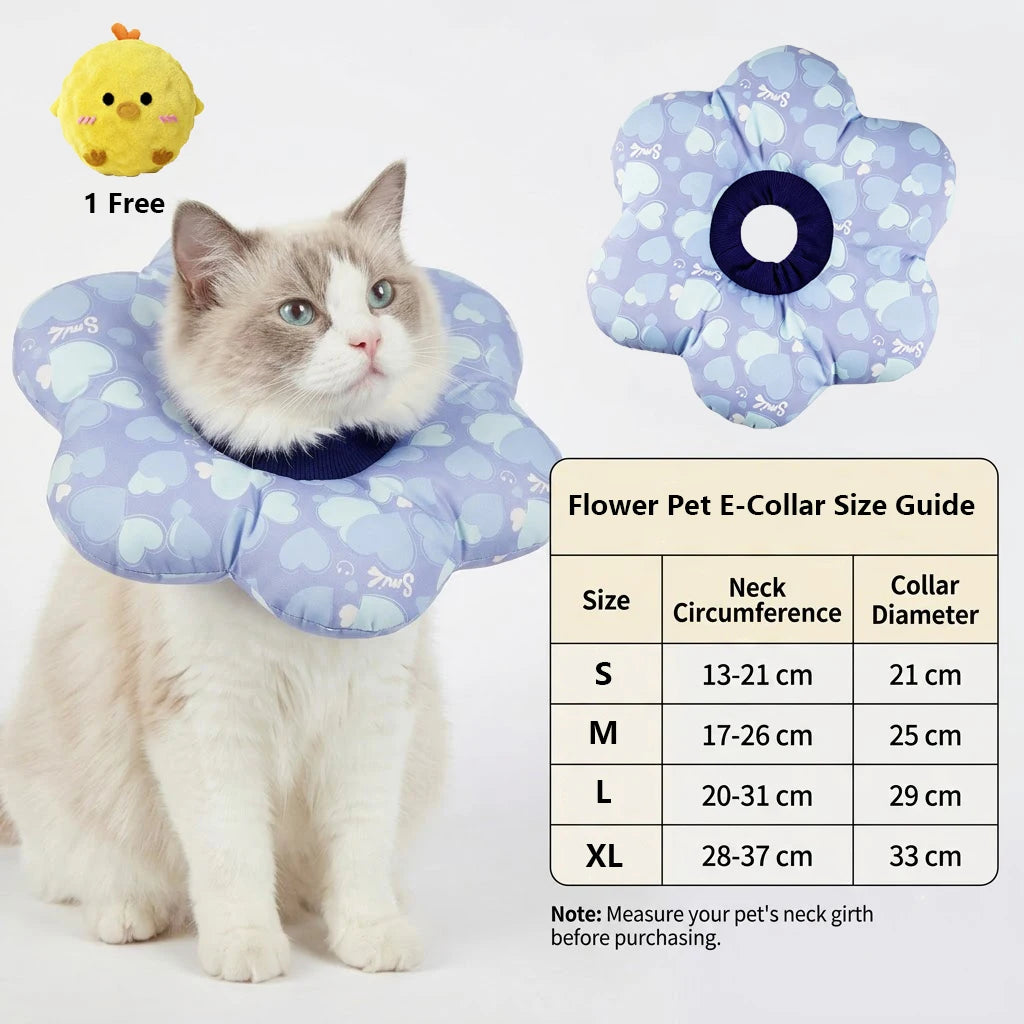 cat-resting-in-soft-recovery-collar