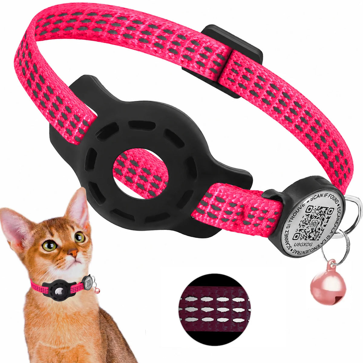 cat-wearing-airtag-collar