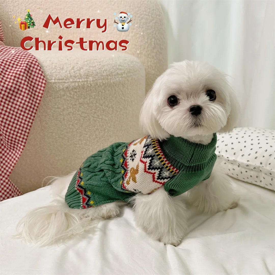 cat-wearing-reindeer-christmas-sweater