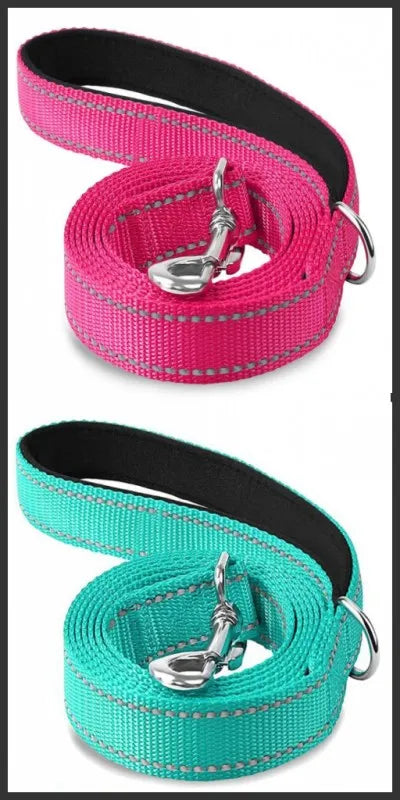 deep-blue-reflective-cat-leash