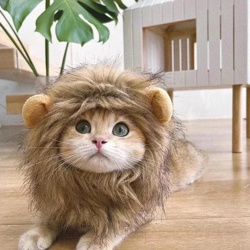 furry-lion-mane-hat-close-up