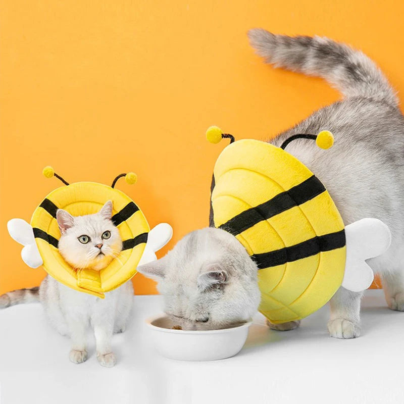 lightweight-sponge-cat-cone
