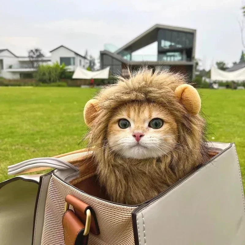 lion-mane-cat-costume-side-view