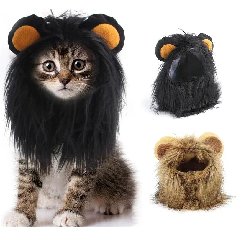 lion-mane-costume-for-cats