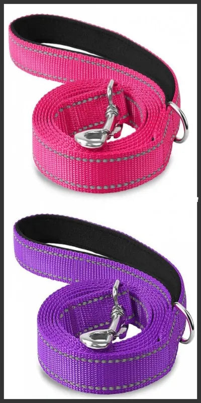red-reflective-cat-leash