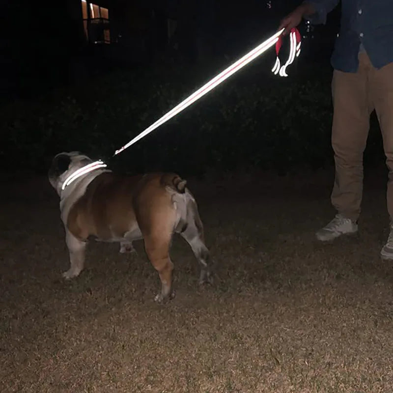 reflective-stitching-cat-leash-at-night