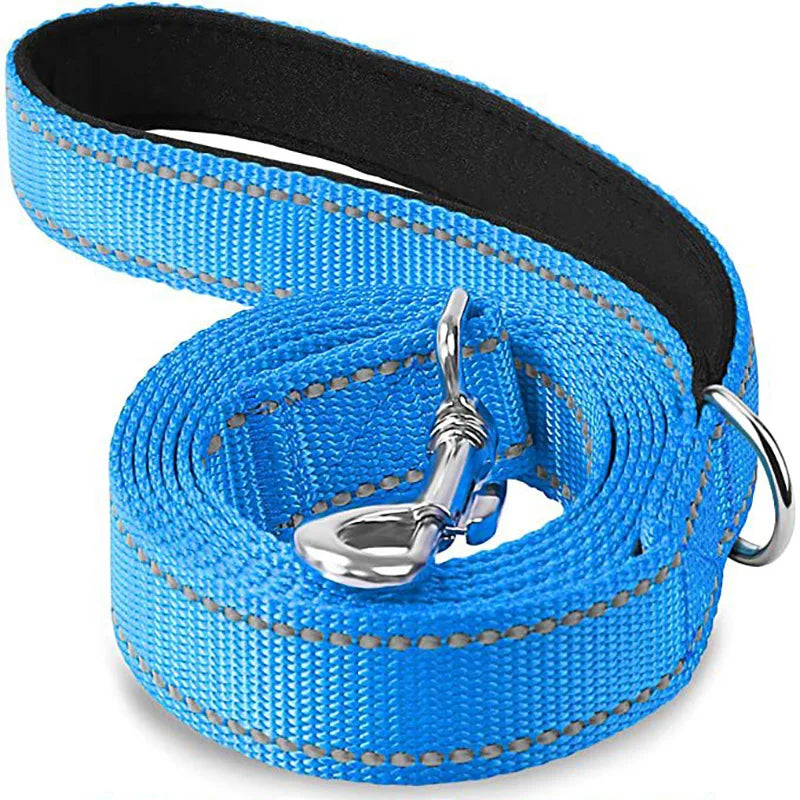 rose-cyan-reflective-cat-leash