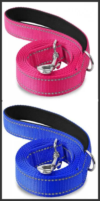 rose-purple-reflective-cat-leash