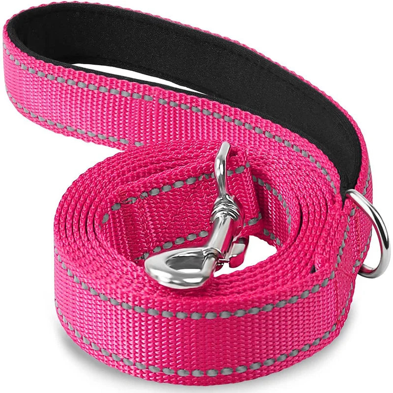 rose-reflective-cat-leash