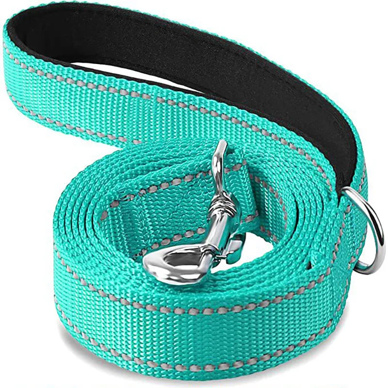 rose-sky-blue-reflective-cat-leash