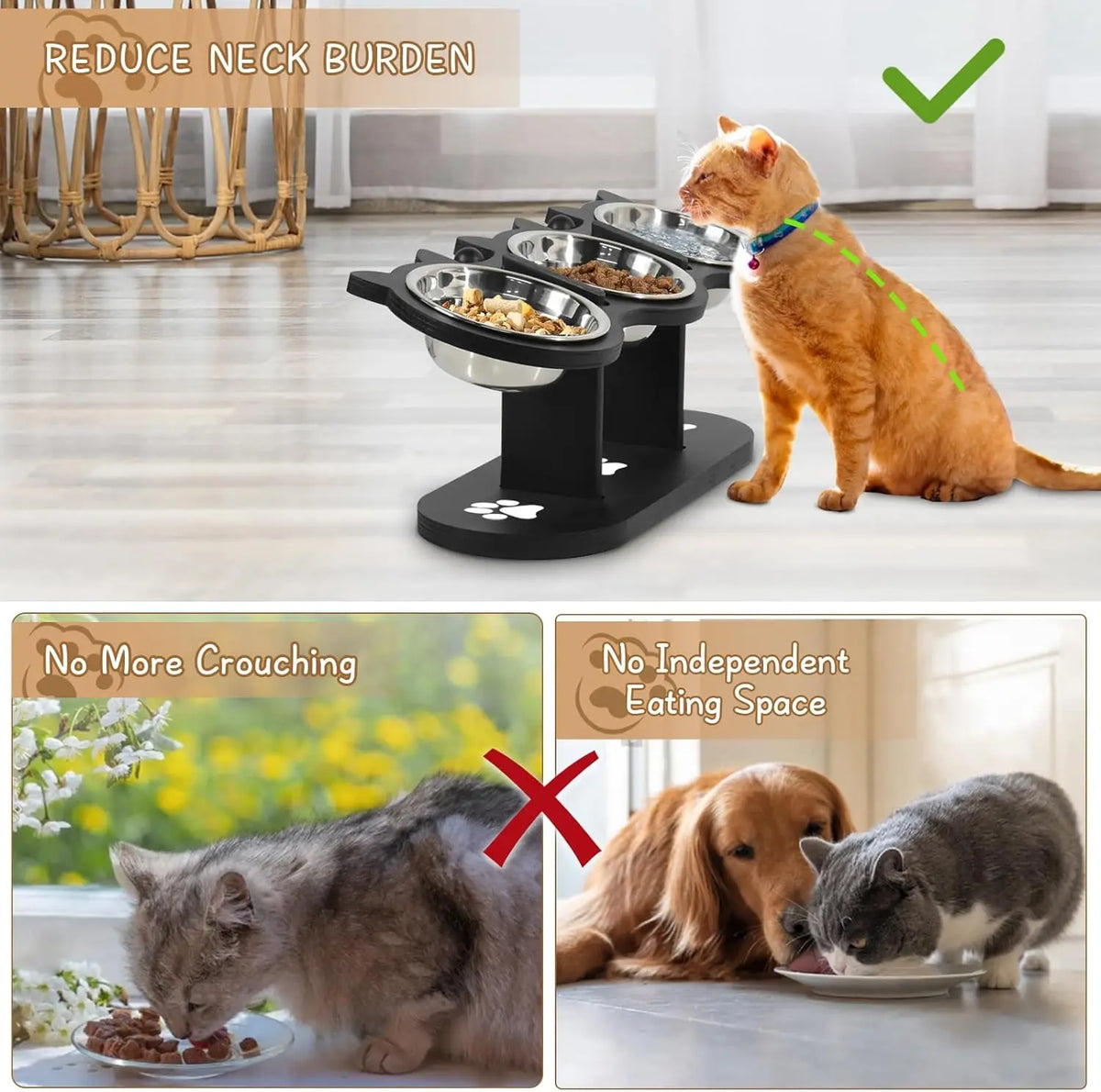 Elevated Cat Bowls, 3 Stainless Steel with Wood Stand