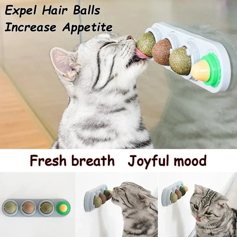 4-in-1 Rotating Catnip Wall Ball, 4 Flavors