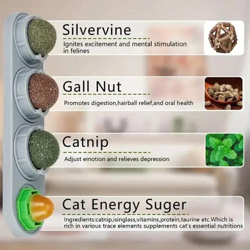 4-in-1 Rotating Catnip Wall Ball, 4 Flavors