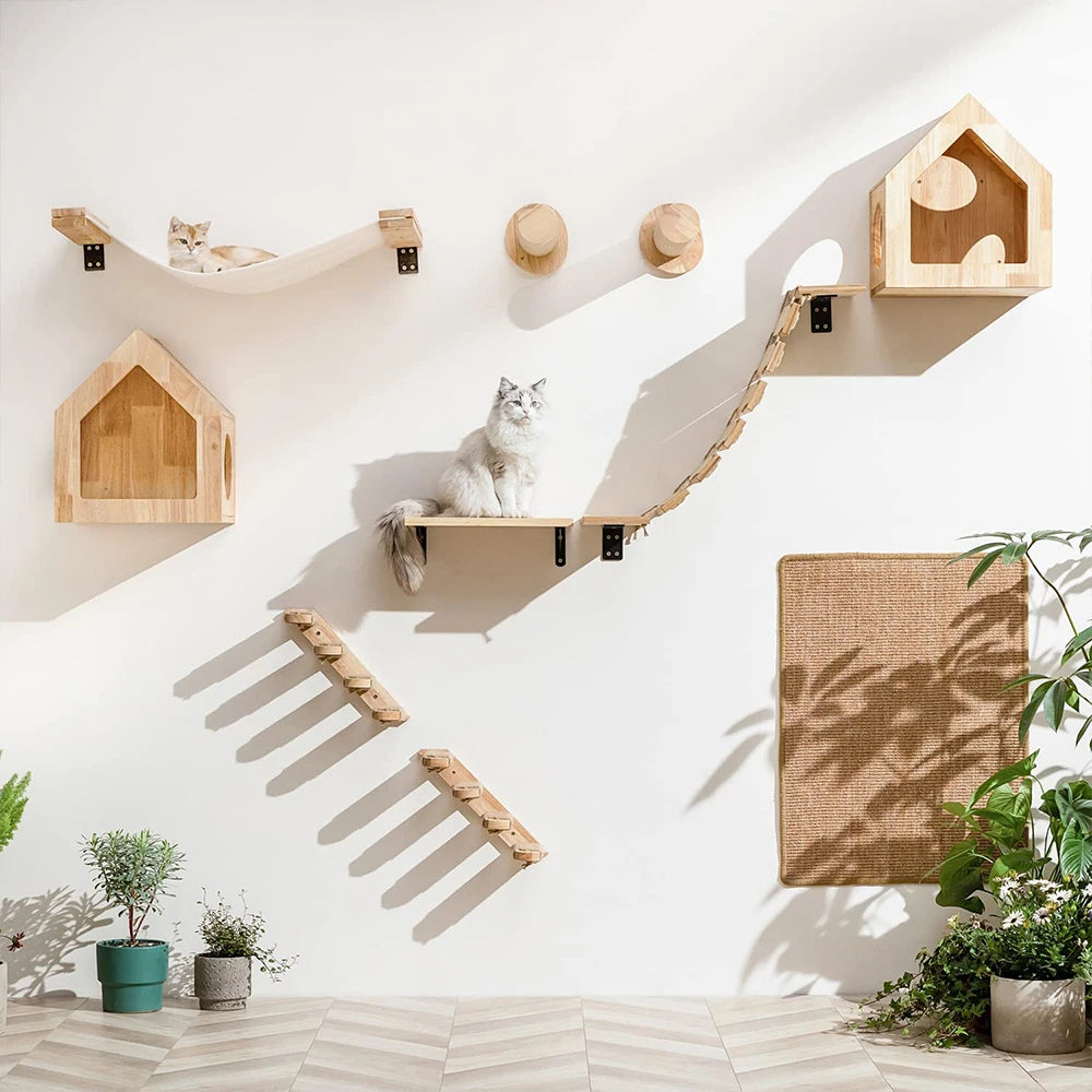 Wall-Mounted Cat Shelves, Steps and Hammocks