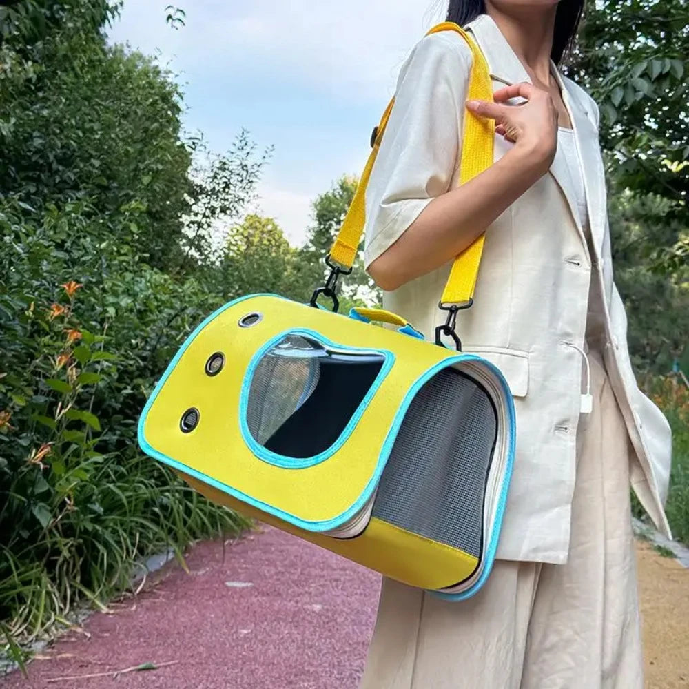 Person carrying a yellow and blue pet carrier bag outdoors