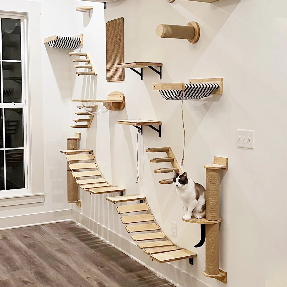 Wall-Mounted Cat Shelves, Steps and Hammocks