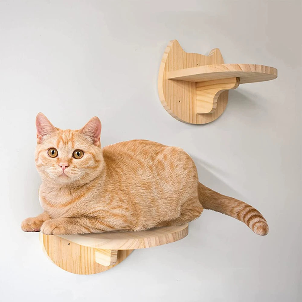 Wall-Mounted Cat Shelves, Steps and Hammocks