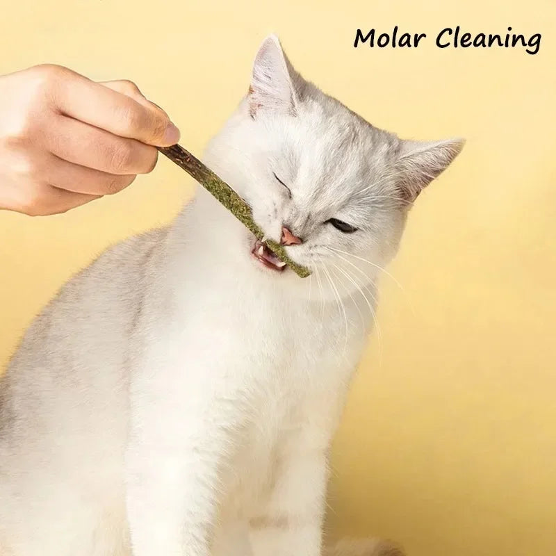 Silvervine & Catnip Cat Chew Sticks