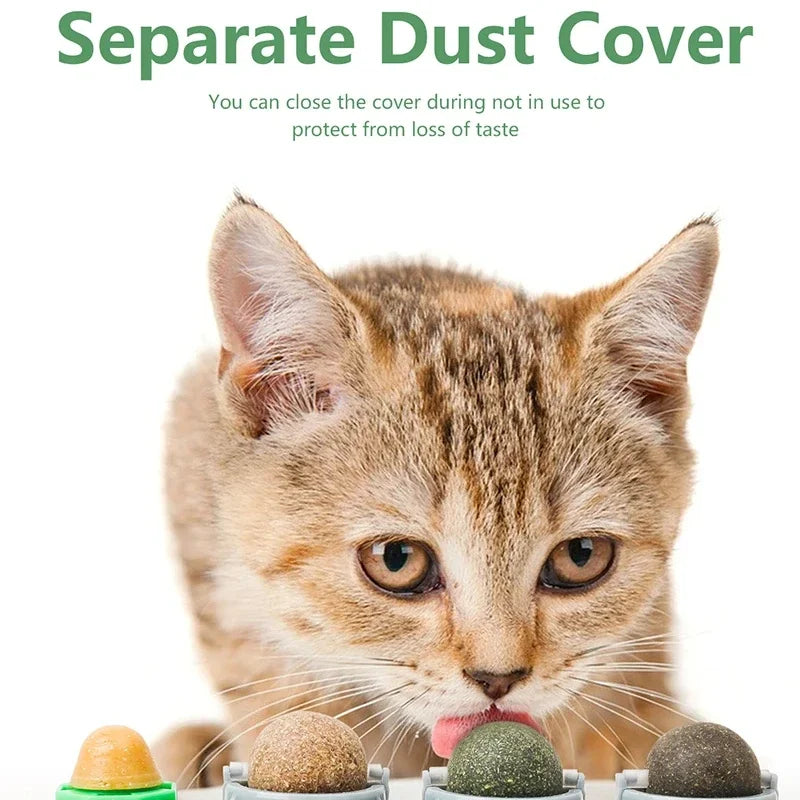 4-in-1 Rotating Catnip Wall Ball, 4 Flavors