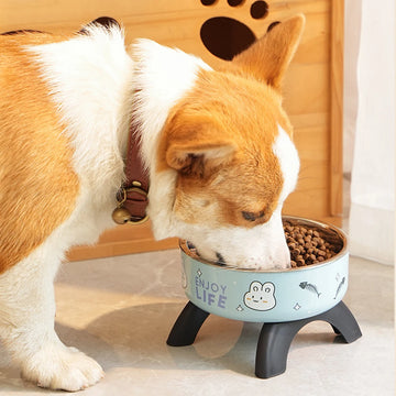Elevated Anti-Slip Cat & Dog Food Bowl with Stand