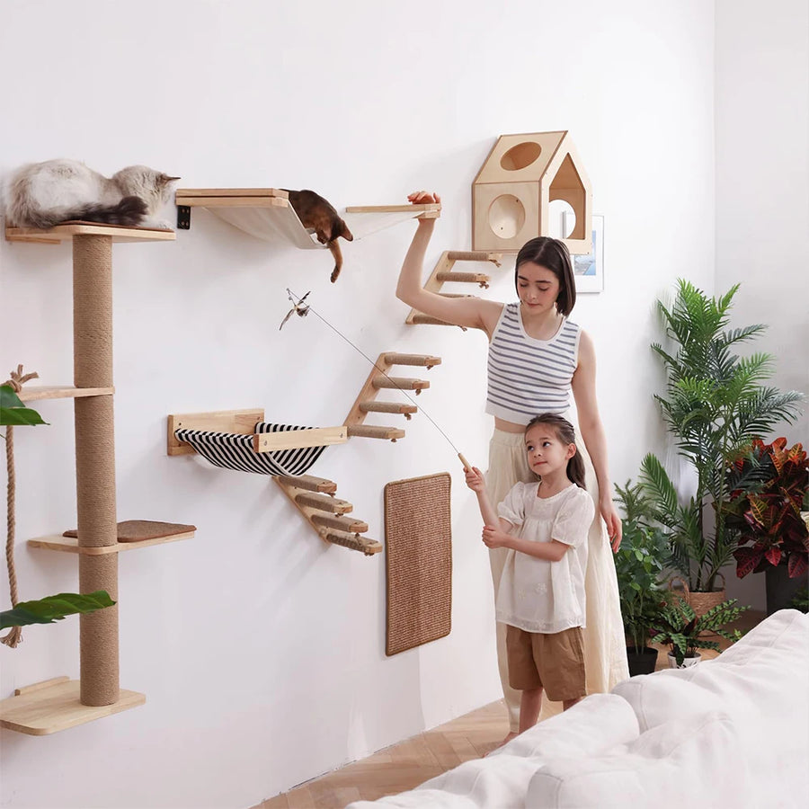 Wall-Mounted Cat Shelves, Steps and Hammocks
