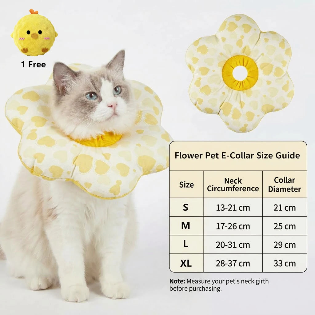 soft-cat-cone-back-view