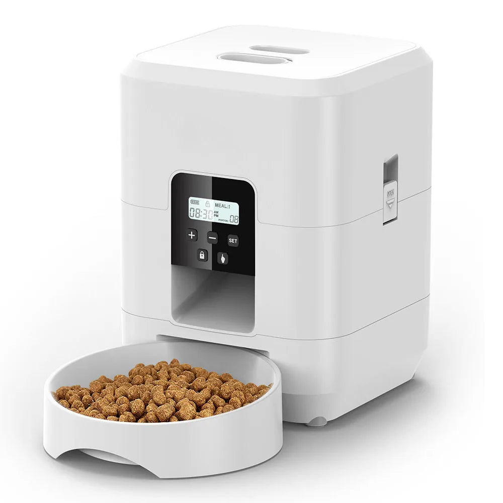 timed-cat-feeder-meal-schedule
