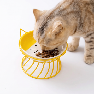Ceramic Raised Cat Bowl with Stand